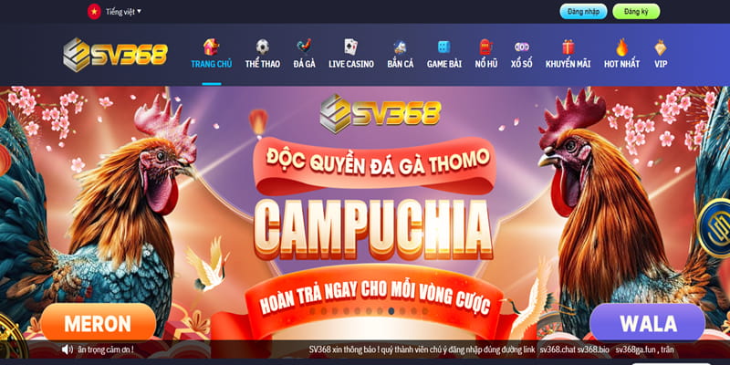 Tìm hiểu về SV368 là gì?